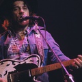 WAYLON JENNINGS