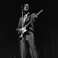 BUDDY HOLLY