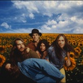 BLIND MELON